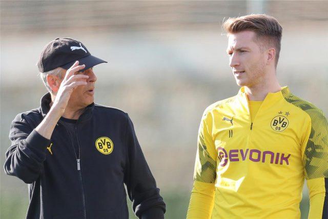 bvb-trainer-lucien-favre-marco-reus